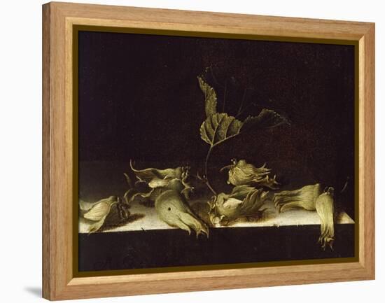 Still Life with Hazel-Nuts, 1696-Adrian Coorte-Framed Premier Image Canvas