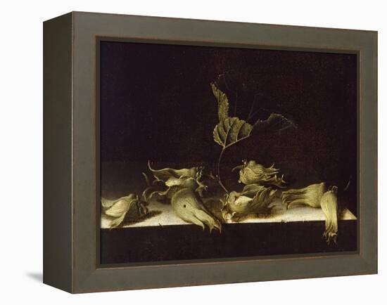 Still Life with Hazel-Nuts, 1696-Adrian Coorte-Framed Premier Image Canvas