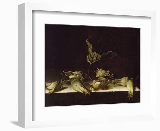 Still Life with Hazel-Nuts, 1696-Adrian Coorte-Framed Giclee Print