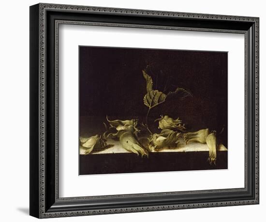 Still Life with Hazel-Nuts, 1696-Adrian Coorte-Framed Giclee Print