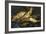 Still Life with Herrings, 1886-Vincent van Gogh-Framed Giclee Print