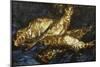 Still Life with Herrings, 1886-Vincent van Gogh-Mounted Giclee Print