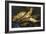 Still Life with Herrings, 1886-Vincent van Gogh-Framed Giclee Print