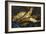 Still Life with Herrings, 1886-Vincent van Gogh-Framed Giclee Print