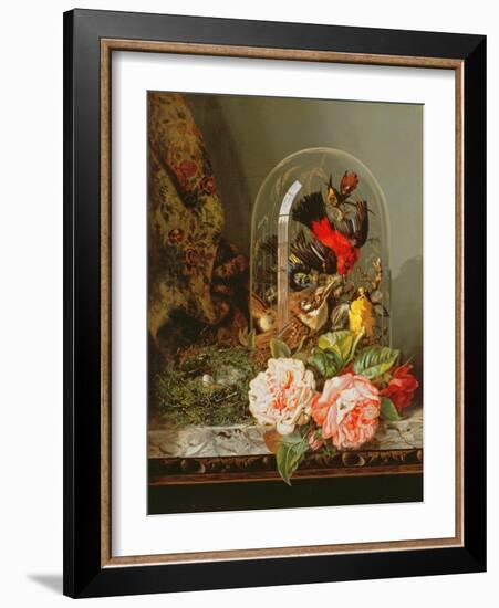 Still Life with Humming Bird in a Glass Dome-Edward Pritchett-Framed Giclee Print