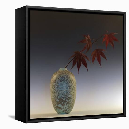 Still Life with Japanese Maple and Raindrops-Geoffrey Ansel Agrons-Framed Stretched Canvas