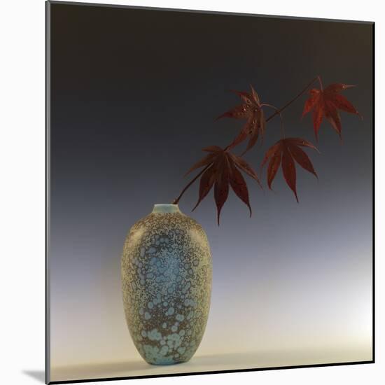 Still Life with Japanese Maple and Raindrops-Geoffrey Ansel Agrons-Mounted Photographic Print