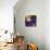 Still Life with Lichtenstein 2-John Nolan-Premium Giclee Print displayed on a wall