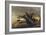 Still Life with Lobster, Crabs, Mussels and Fish-Elias Vonck-Framed Giclee Print