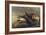 Still Life with Lobster, Crabs, Mussels and Fish-Elias Vonck-Framed Giclee Print