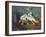 Still Life with Milk Can and Apples-Paul Cézanne-Framed Giclee Print