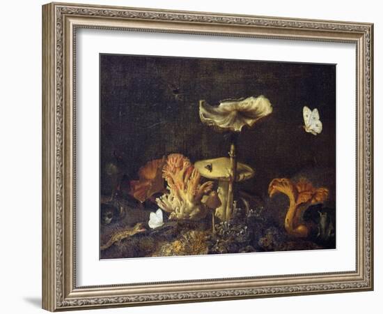 Still Life with Mushrooms and Butterflies-Schrieck-Framed Giclee Print