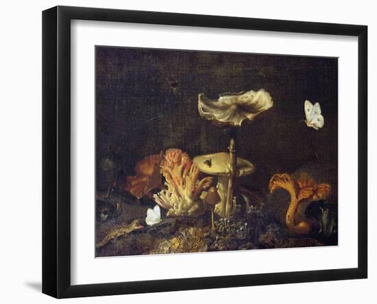 Still Life with Mushrooms and Butterflies-Schrieck-Framed Giclee Print