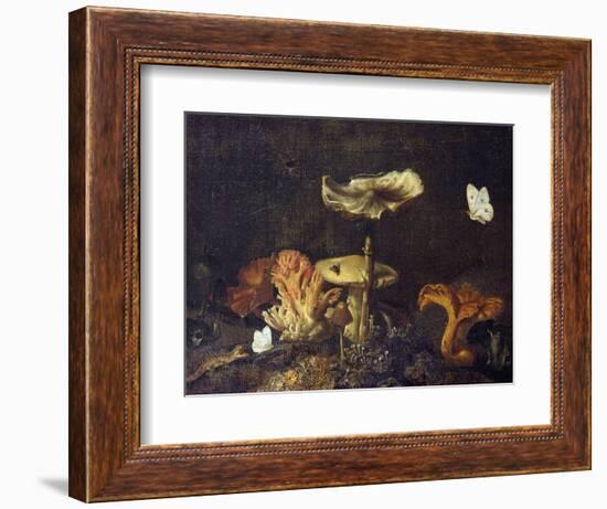 Still Life with Mushrooms and Butterflies-Schrieck-Framed Giclee Print