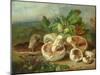 Still Life With Mushrooms Etc., 1859-null-Mounted Giclee Print
