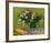 Still Life with Oleander-Vincent van Gogh-Framed Giclee Print