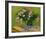 Still Life with Oleander-Vincent van Gogh-Framed Giclee Print