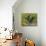 Still Life with Oleander-Vincent van Gogh-Mounted Giclee Print displayed on a wall