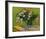 Still Life with Oleander-Vincent van Gogh-Framed Giclee Print