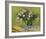 Still Life with Oleander-Vincent van Gogh-Framed Art Print