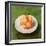 Still Life with Oranges, 1640-Unknown Artist-Framed Giclee Print