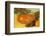 Still Life with Oranges-Vincent van Gogh-Framed Art Print