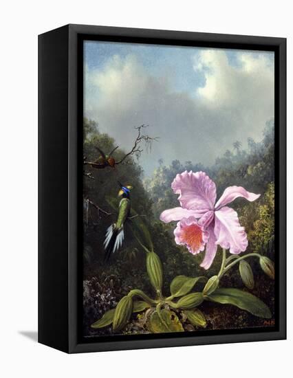 Still Life with Orchid and Pair of Hummingbirds, C.1890S-Martin Johnson Heade-Framed Premier Image Canvas