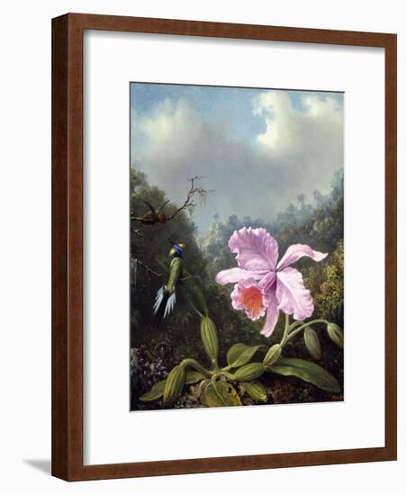 Still Life with Orchid and Pair of Hummingbirds, C.1890S-Martin Johnson Heade-Framed Giclee Print