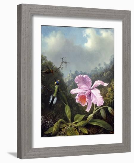 Still Life with Orchid and Pair of Hummingbirds, C.1890S-Martin Johnson Heade-Framed Giclee Print