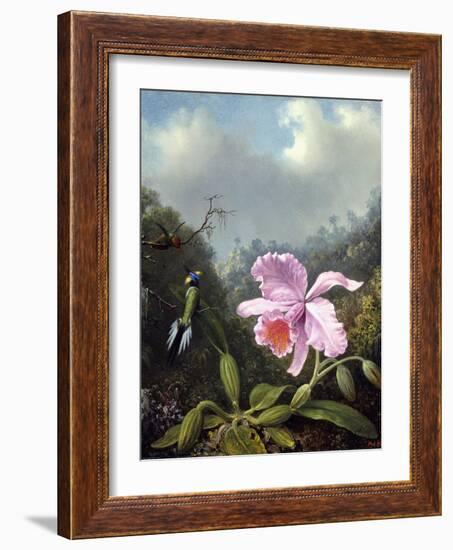 Still Life with Orchid and Pair of Hummingbirds, C.1890S-Martin Johnson Heade-Framed Giclee Print