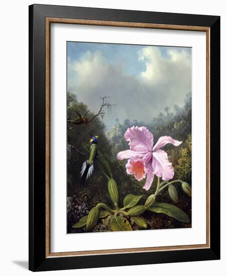 Still Life with Orchid and Pair of Hummingbirds, C.1890S-Martin Johnson Heade-Framed Giclee Print