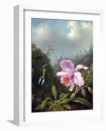 Still Life with Orchid and Pair of Hummingbirds, C.1890S-Martin Johnson Heade-Framed Giclee Print