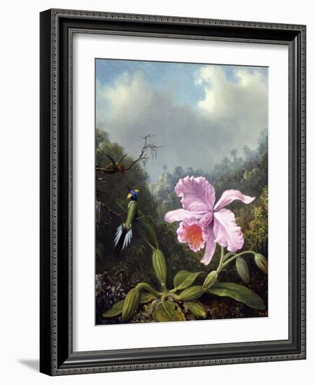 Still Life with Orchid and Pair of Hummingbirds, C.1890S-Martin Johnson Heade-Framed Giclee Print