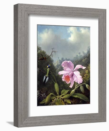 Still Life with Orchid and Pair of Hummingbirds, C.1890S-Martin Johnson Heade-Framed Giclee Print