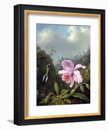 Still Life with Orchid and Pair of Hummingbirds, C.1890S-Martin Johnson Heade-Framed Giclee Print