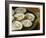 Still Life with Oysters, Sweetmeats and Roasted Chestnuts, Detail of Oysters-Osias The Elder Beert-Framed Giclee Print