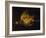 Still Life with Partridge-Alexandre-Francois Desportes-Framed Giclee Print