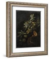 Still Life with Passionflowers-Elias Van Den Broeck-Framed Art Print