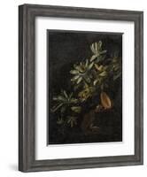 Still Life with Passionflowers-Elias Van Den Broeck-Framed Art Print