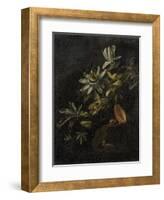 Still Life with Passionflowers-Elias Van Den Broeck-Framed Art Print