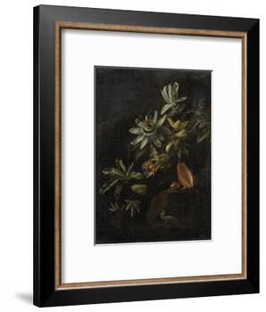 Still Life with Passionflowers-Elias Van Den Broeck-Framed Art Print