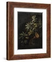 Still Life with Passionflowers-Elias Van Den Broeck-Framed Art Print