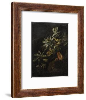 Still Life with Passionflowers-Elias Van Den Broeck-Framed Art Print