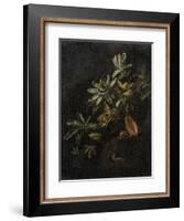 Still Life with Passionflowers-Elias Van Den Broeck-Framed Art Print