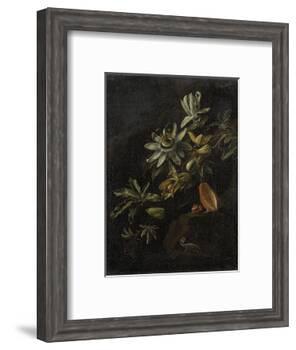 Still Life with Passionflowers-Elias Van Den Broeck-Framed Art Print