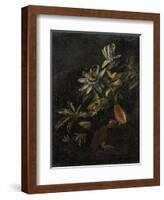 Still Life with Passionflowers-Elias Van Den Broeck-Framed Art Print