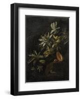 Still Life with Passionflowers-Elias Van Den Broeck-Framed Art Print