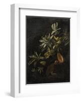 Still Life with Passionflowers-Elias Van Den Broeck-Framed Art Print