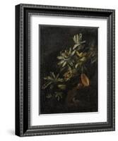 Still Life with Passionflowers-Elias Van Den Broeck-Framed Art Print