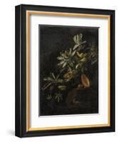 Still Life with Passionflowers-Elias Van Den Broeck-Framed Art Print